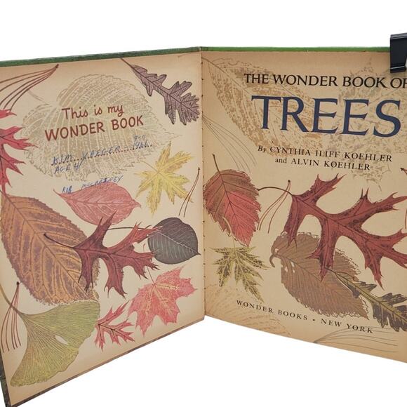 Vintage 1964 The Wonder Book of Trees Hardback Book by Cynthia & Alvin Koehler - Picture 3 of 4
